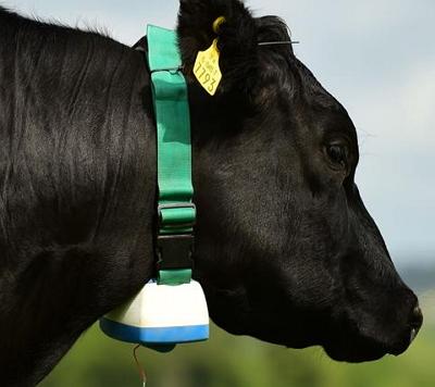 zdjęcie wydrukowanego w 3D dzwonka dla krowy