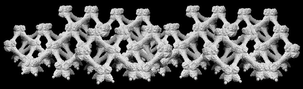 koralowce - model 3D