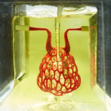 wydrukowany technologią biodruku 3D model worka powietrznego naśladującego płuca wraz z funkcjonującymi drogami oddechowymi, które są w stanie dostarczać tlen do otaczających naczyń krwionośnych